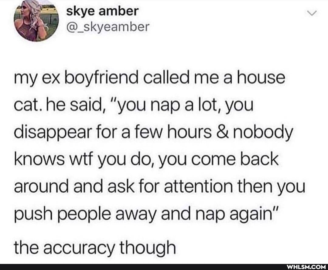 skye amber
my ex boyfriend called me a house cat. he said, "you nap a lot, you disappear for a few hours & nobody knows wit you do, you come back
around and ask for attention then you push people away and nap again"
the accuracy though