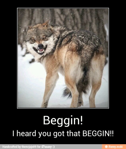 Beggin!
I heard you got that BEGGIN!! - Beggin!
I heard you got that BEGGIN!!