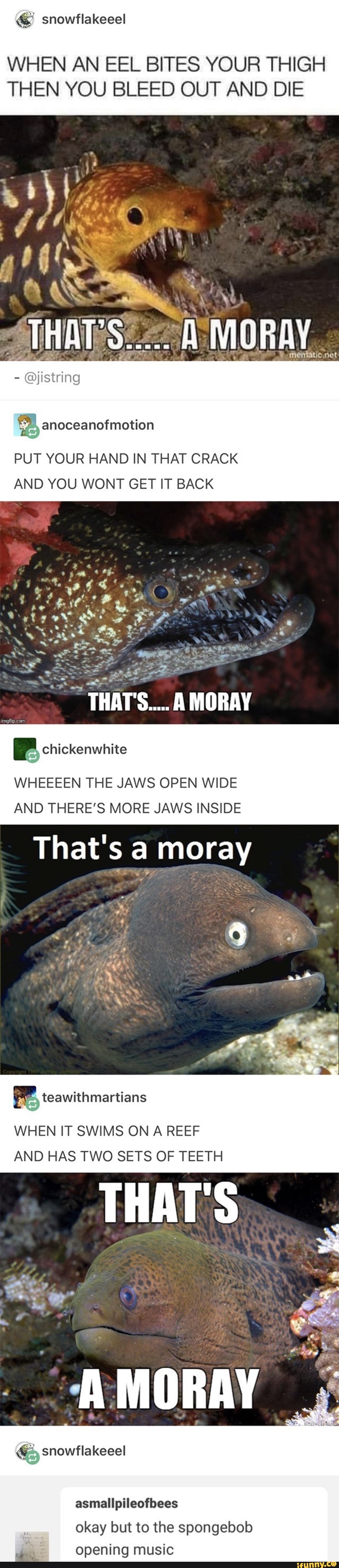 WHEN AN EEL BITES YOUR THIGH THEN YOU BLEED OUT AND DIE PUT YOUR HAND IN THAT CRACK AND YOU WONT