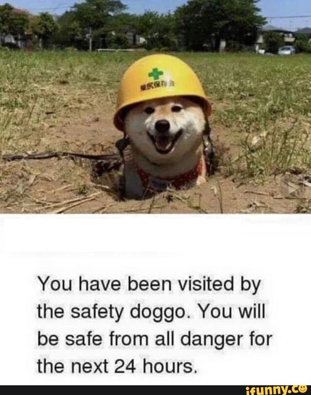 You have been visited by the safety doggo. You will be safe from all ...