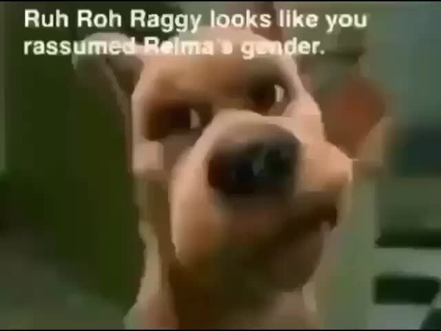 Ruh Roh Raggy Looks You