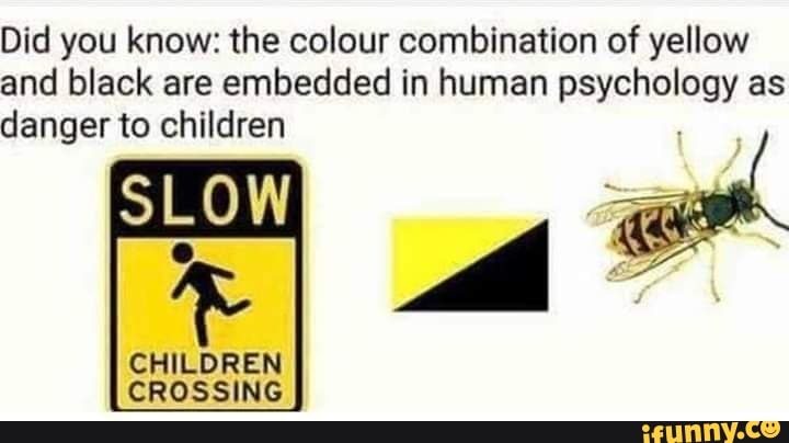 Did you know: the colour combination of yellow
and black are embedded in human psychology as
danger to children
y
I
CHILDREN
CROSSING
