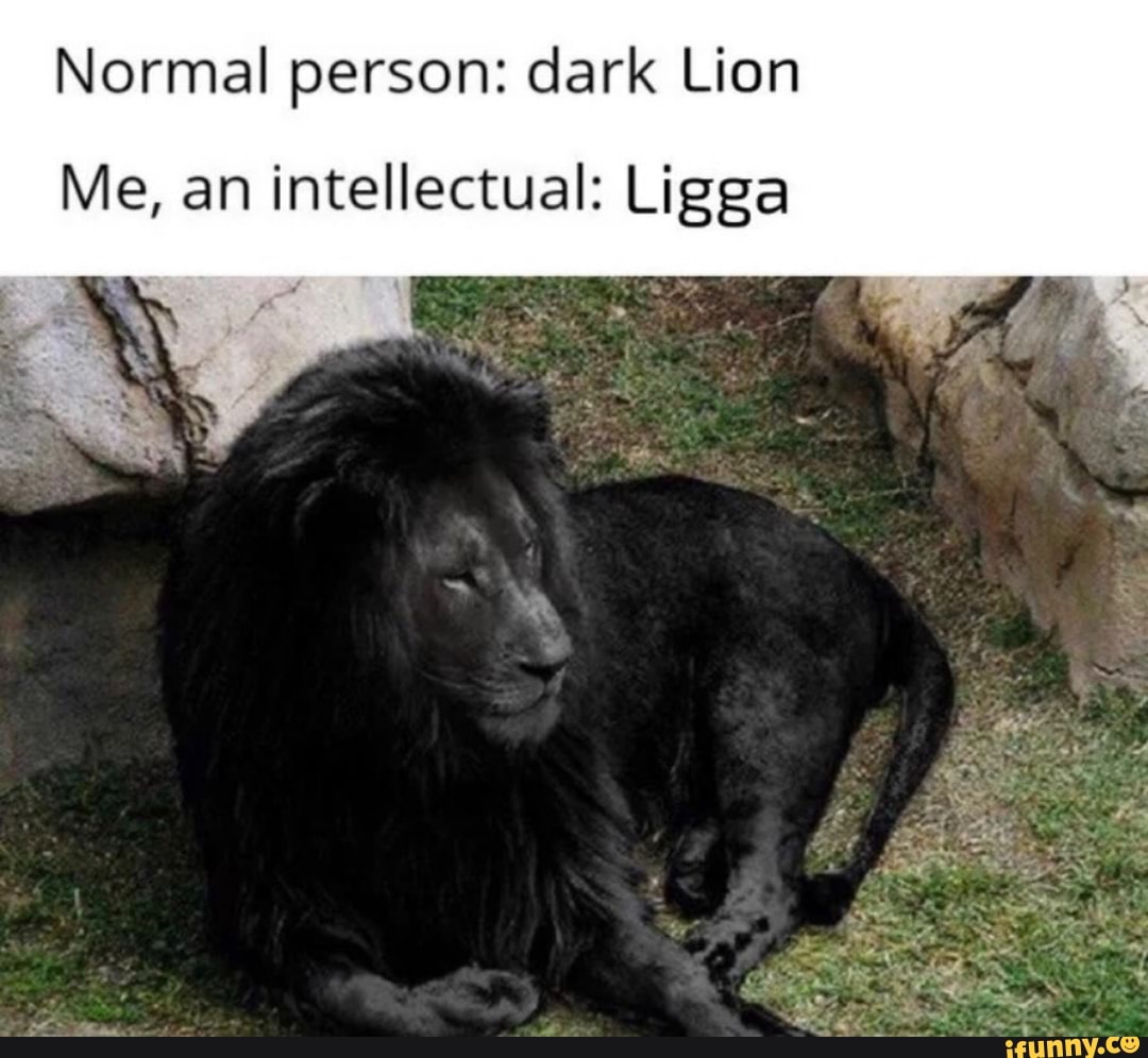 Черны лев 5. Черный Лев. Бывают ли черные львы. Чёрный Лев существует ли. Редкий вид Льва черный.