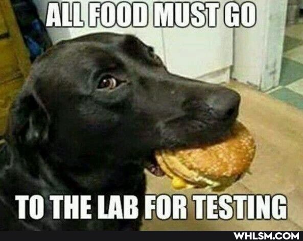 ALL FOOD MUST GO
TO THE LAB FOR TESTING