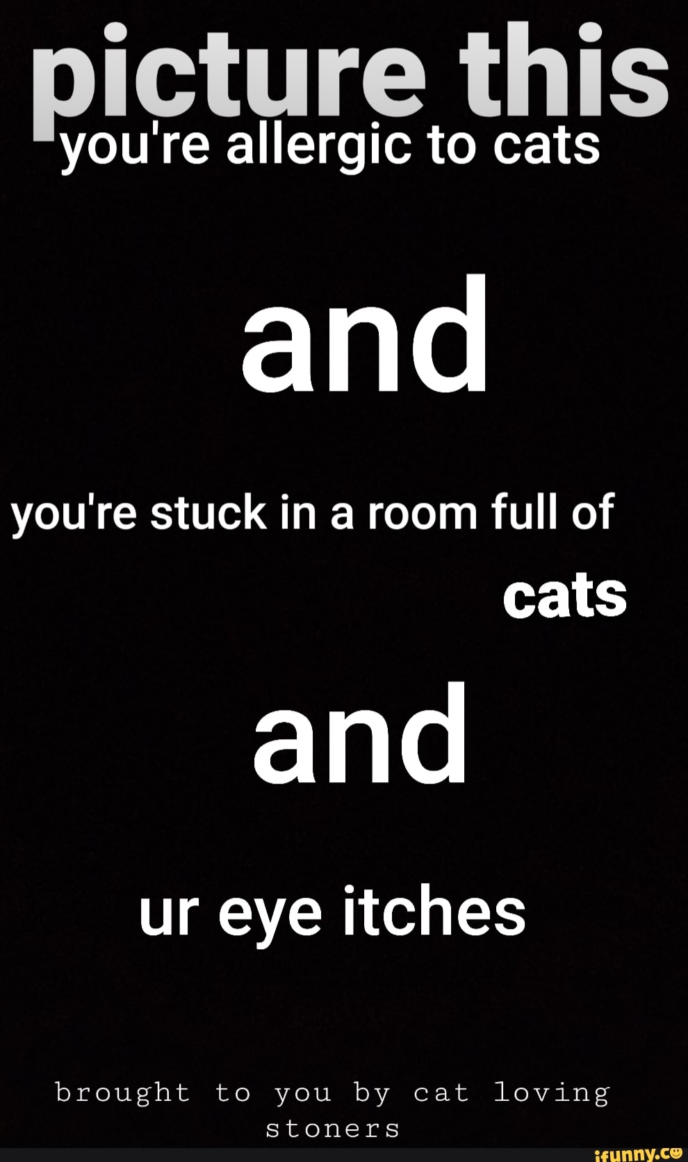 Picture this youre allergic to cats and you're stuck in a room full of