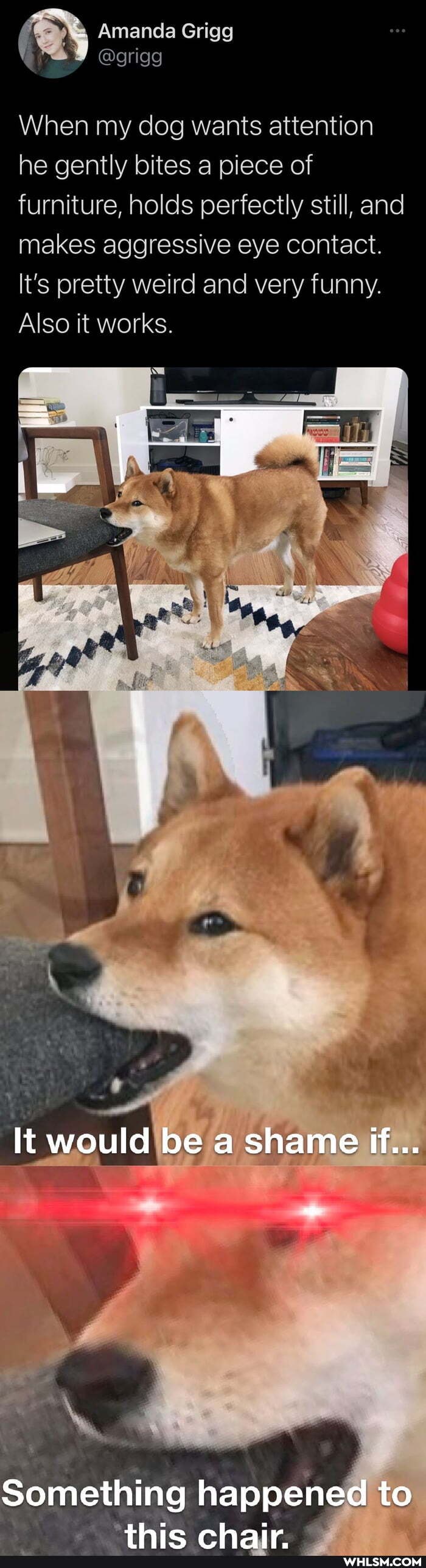 Amanda @grigg Grigg
When my dog wants attention he gently bites a piece of furniture, holds perfectly still, and makes aggressive eye contact.
It's pretty weird and very funny.
Also it works.
It would be shame ff...
Something happen to
Yo
thie chair