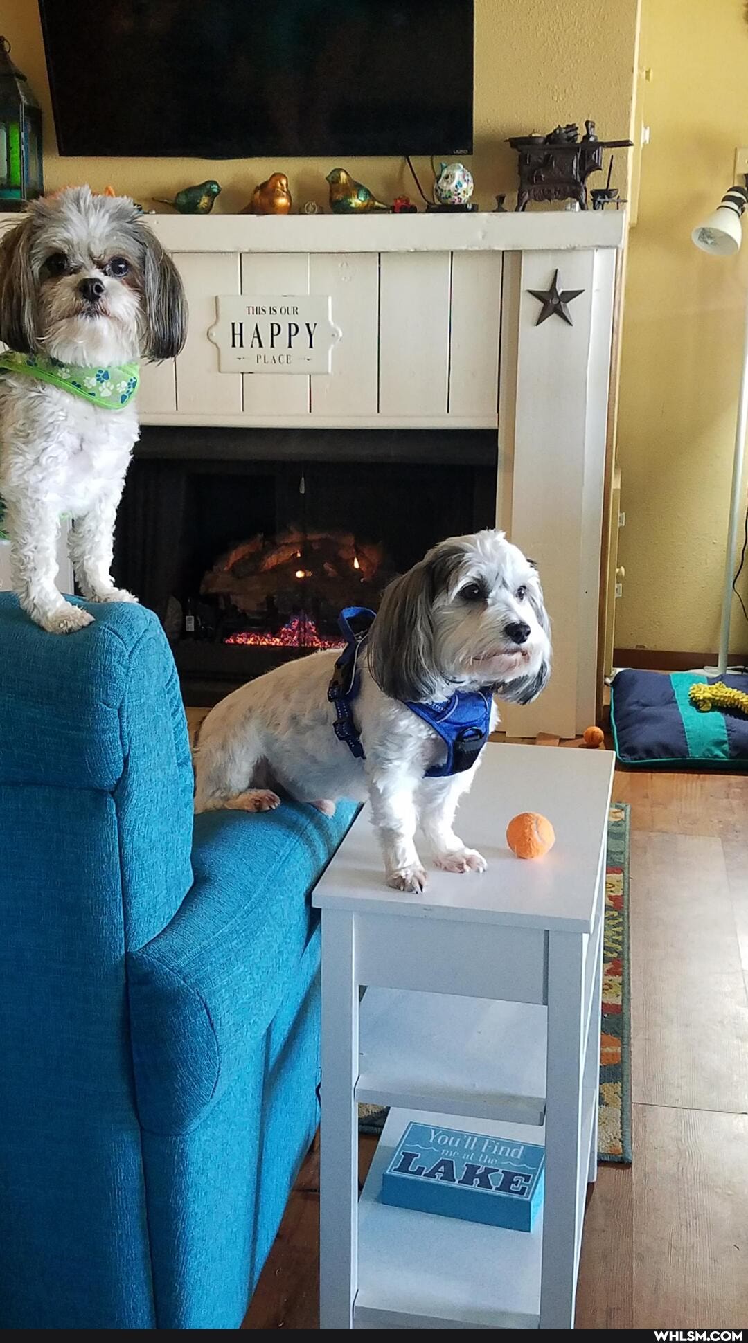 THIS OUR
HAPPY
PLACE