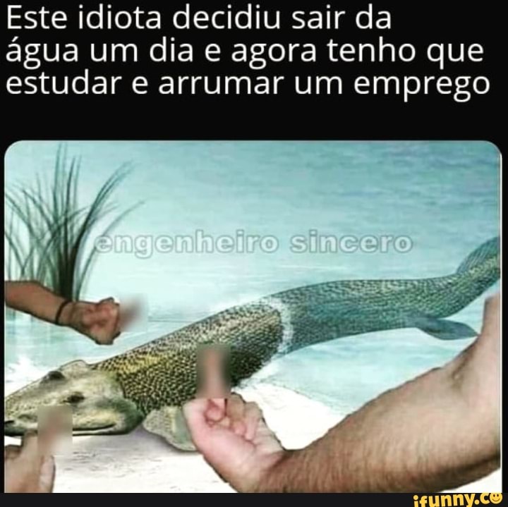Este idiota decidiu sair da água um dia e agora tenho que estudar e arrumar um emprego