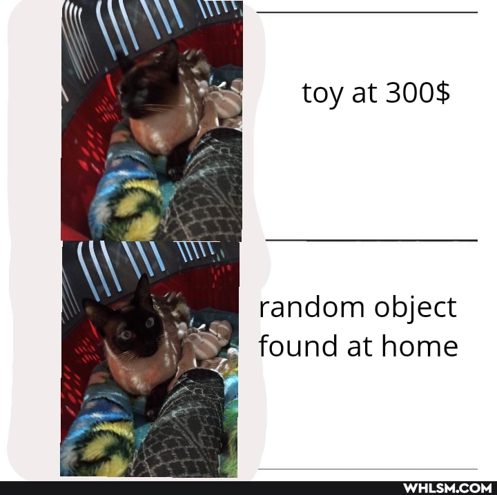 toy at 300$
random object found at home
