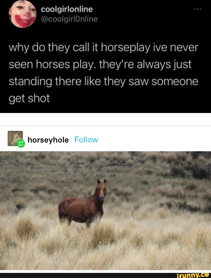 Horseyhole memes. Best Collection of funny Horseyhole pictures on iFunny