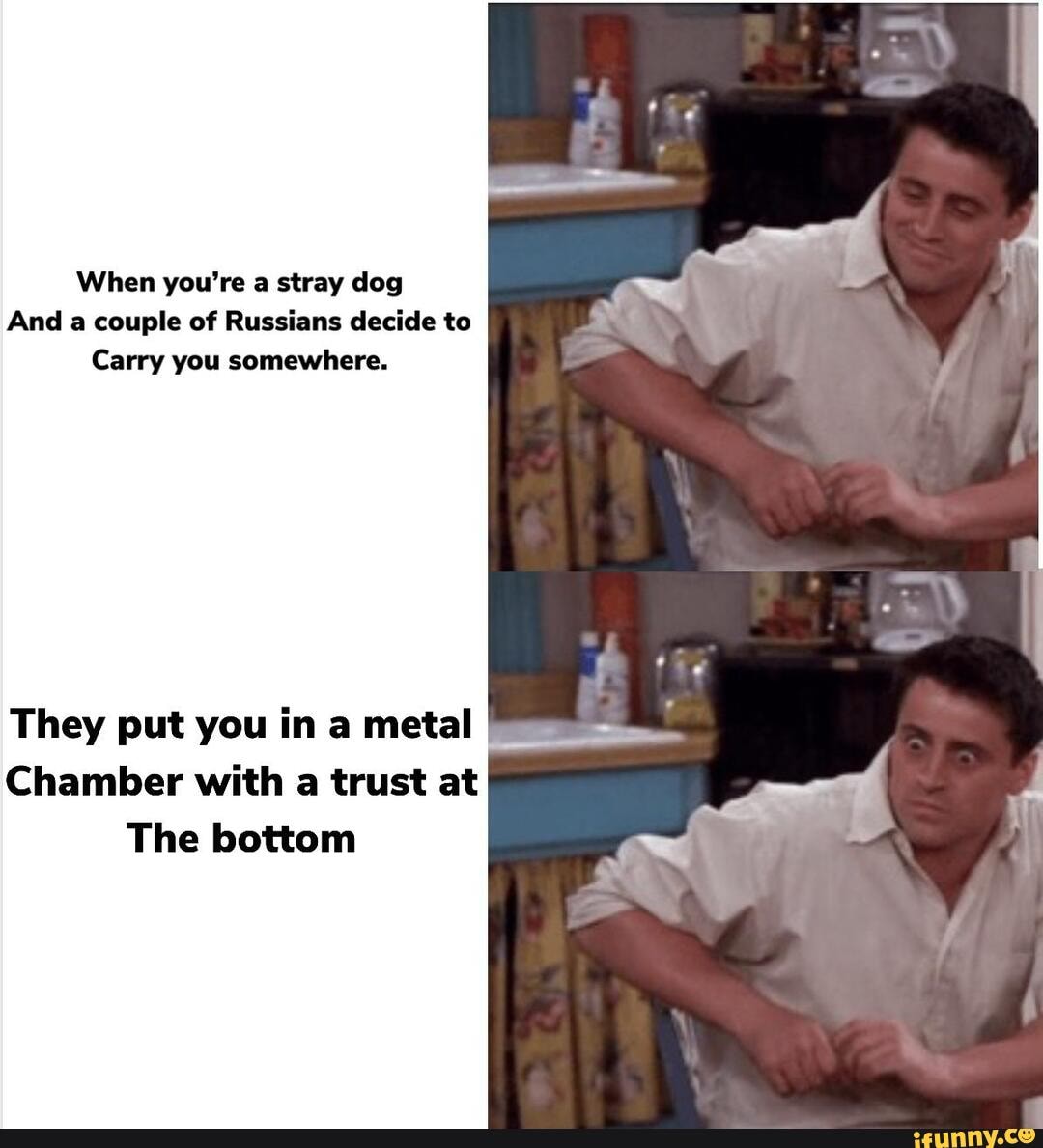 When you're a stray dog
And a couple of Russians decide to
Carry you somewhere.
They put you in a metal
Chamber with a trust at
The bottom