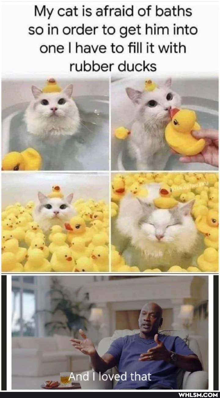 My cat is afraid of baths so in order to get him into one I have to fill fill it with rubber ducks
And I loved that