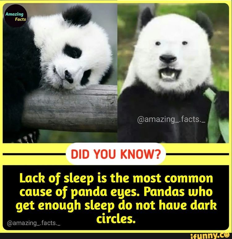amazing_.facts._ Amazing Facts, DID YOU KNOW? Lack of sleep is the most common cause of panda