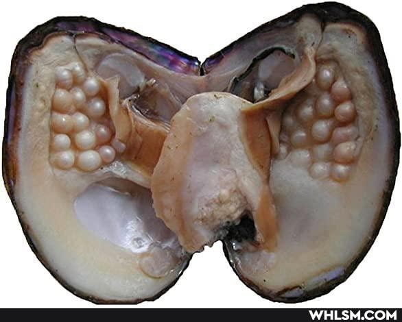 nature, noon_women, pearls, love_they_brother
