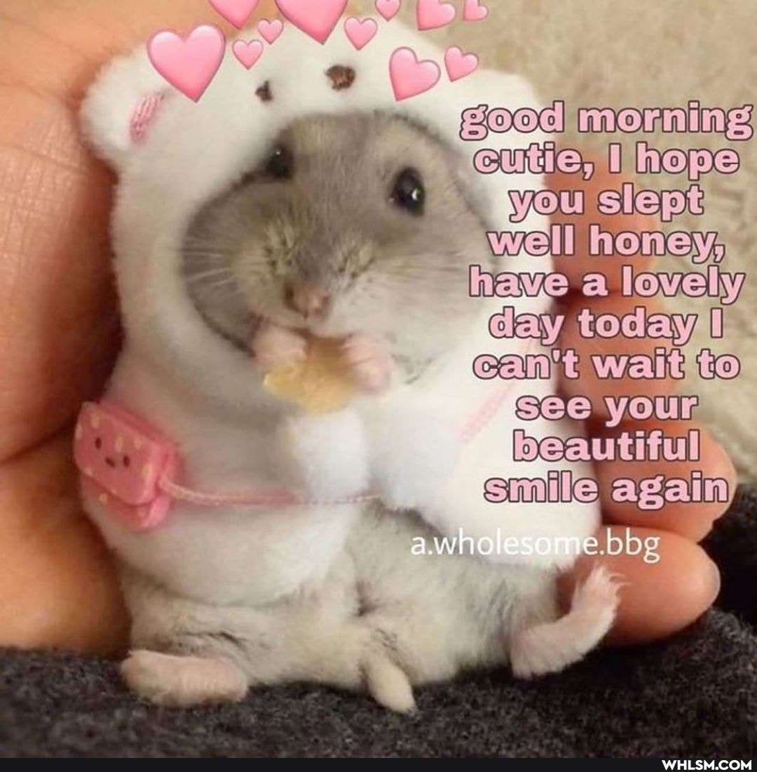 morning you well
2 love today your beautiiul emile again e.bbg