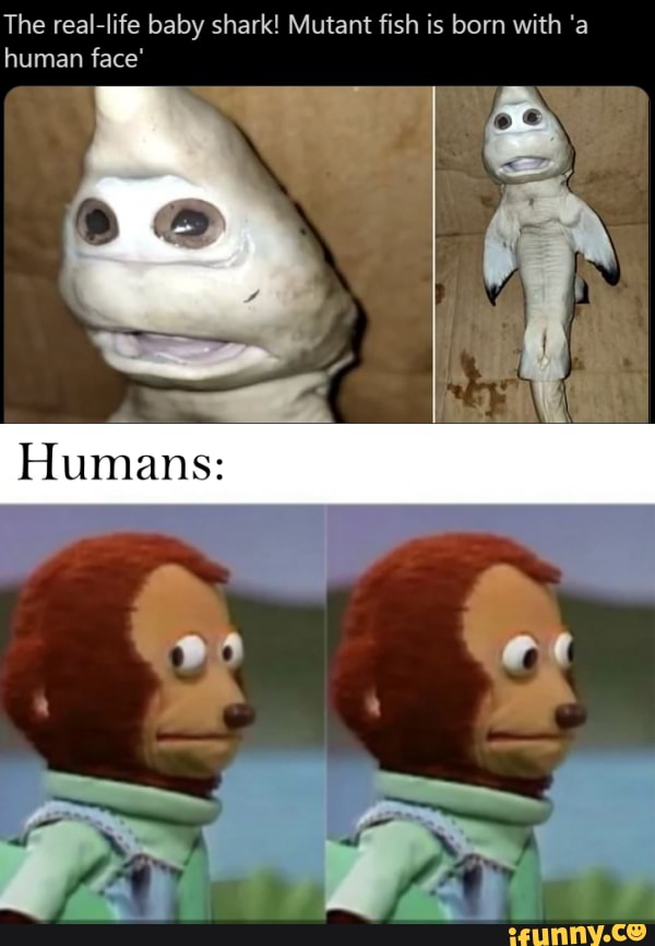 Oh Hell No The Real Life Baby Shark Mutant Fish Is Born With A Human Face Humans