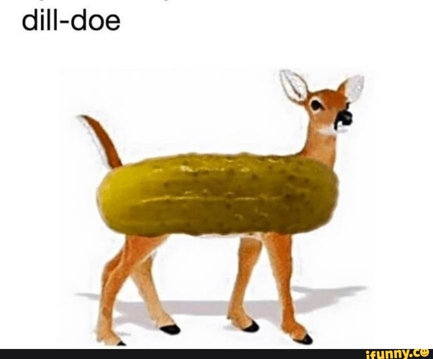 Dilldoe memes. Best Collection of funny Dilldoe pictures on iFunny