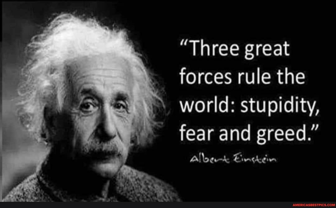 "Three great forces rule the world: stupidity, fear and greed."
Alloe Einckein