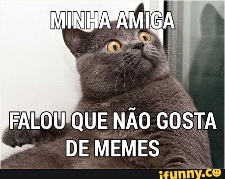 FAVOUQUE NÃO GOSTA
DE MEMES