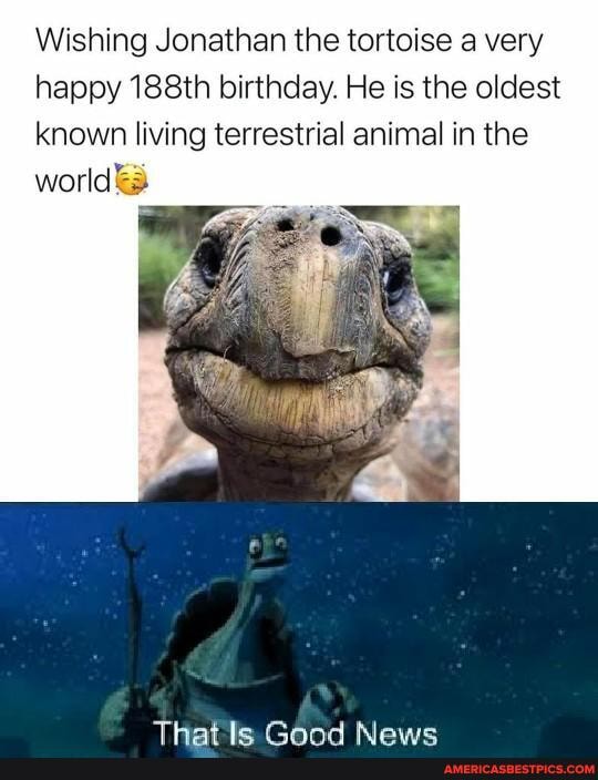 Wishing Jonathan the tortoise a very happy 188th birthday. He is the oldest known living terrestrial animal in the world