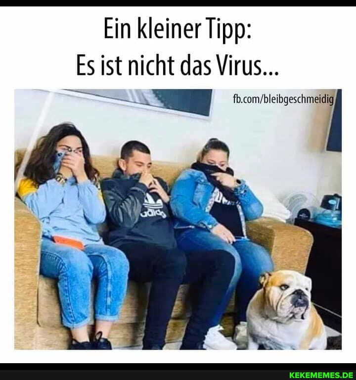Ein kleiner Tipp:
Es ist nicht das Virus...
Am
