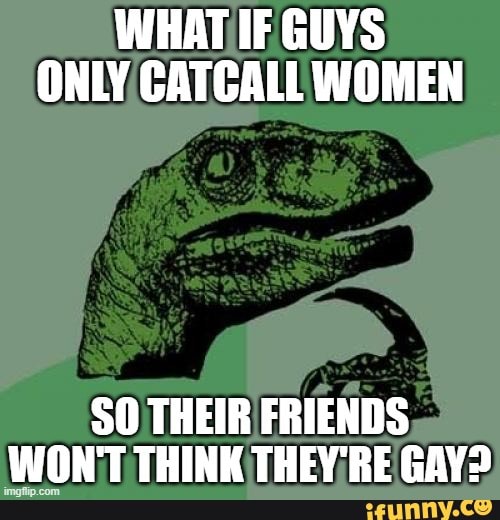 WHAT IF GUYS ONLY CATCALL WOMEN
SO THEIR FRIENDS WON'T THINK THEV'RE RAY