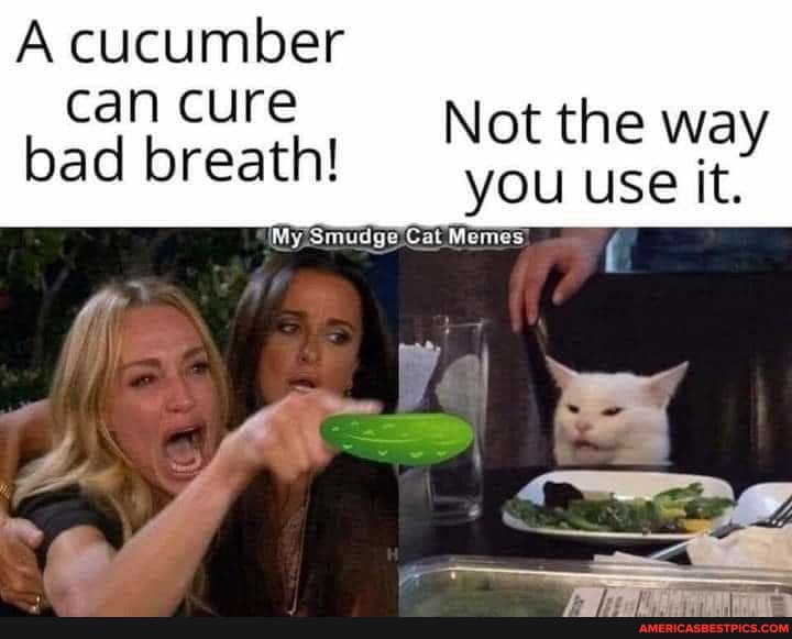 A cucumber
can cure Not the way bad breath! you use it.
Smudge Cat Memes.