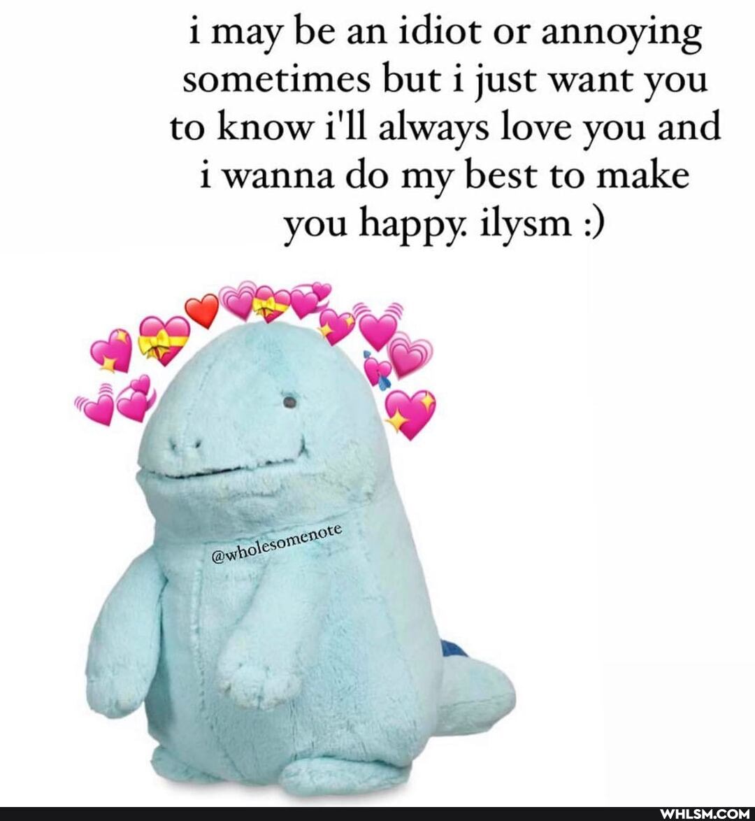 i may be an idiot or annoying sometimes but i just want you to know i'll always love you and i wanna do my best to make you happy. ilysm