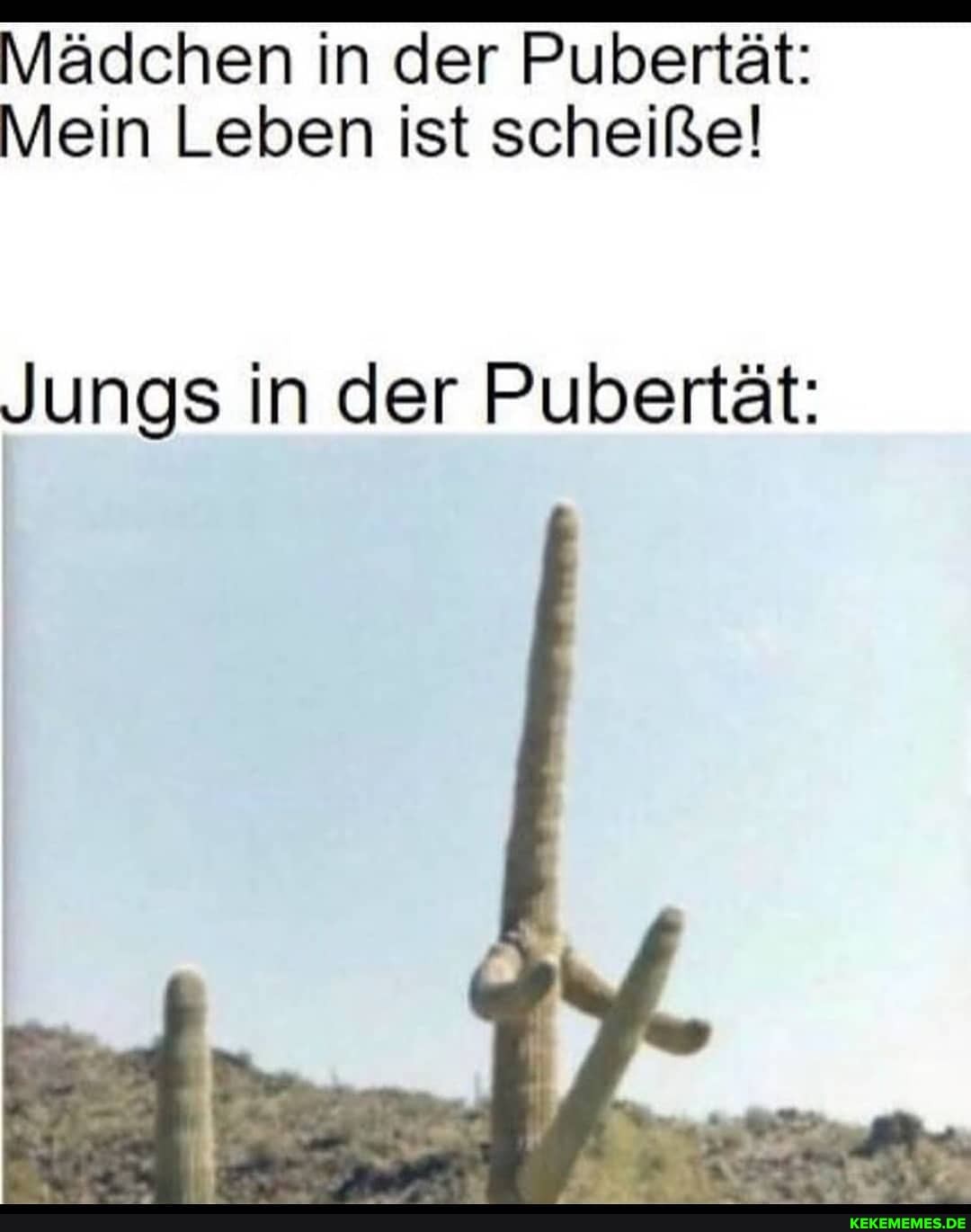 Mädchen in der Pubertät:
Mein Leben ist scheiße!
Jungs in der Pubertät: