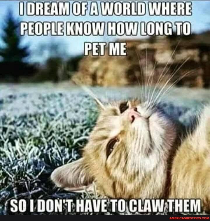 fOREAM UF A WORLD WHERE
PEOPLE KNOW HOW LONG PET ME
CAUNGM T TR OOETYAL PMER
