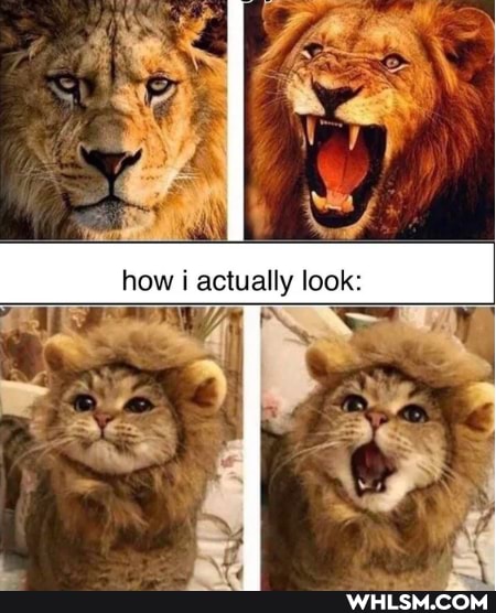 how actually look: