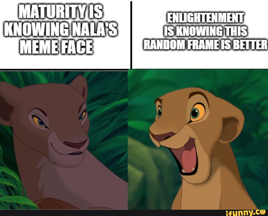MATURITY ,IS KNOWING NALA'S MEME FACE RANDOM FRAME IS BETTER - iFunny