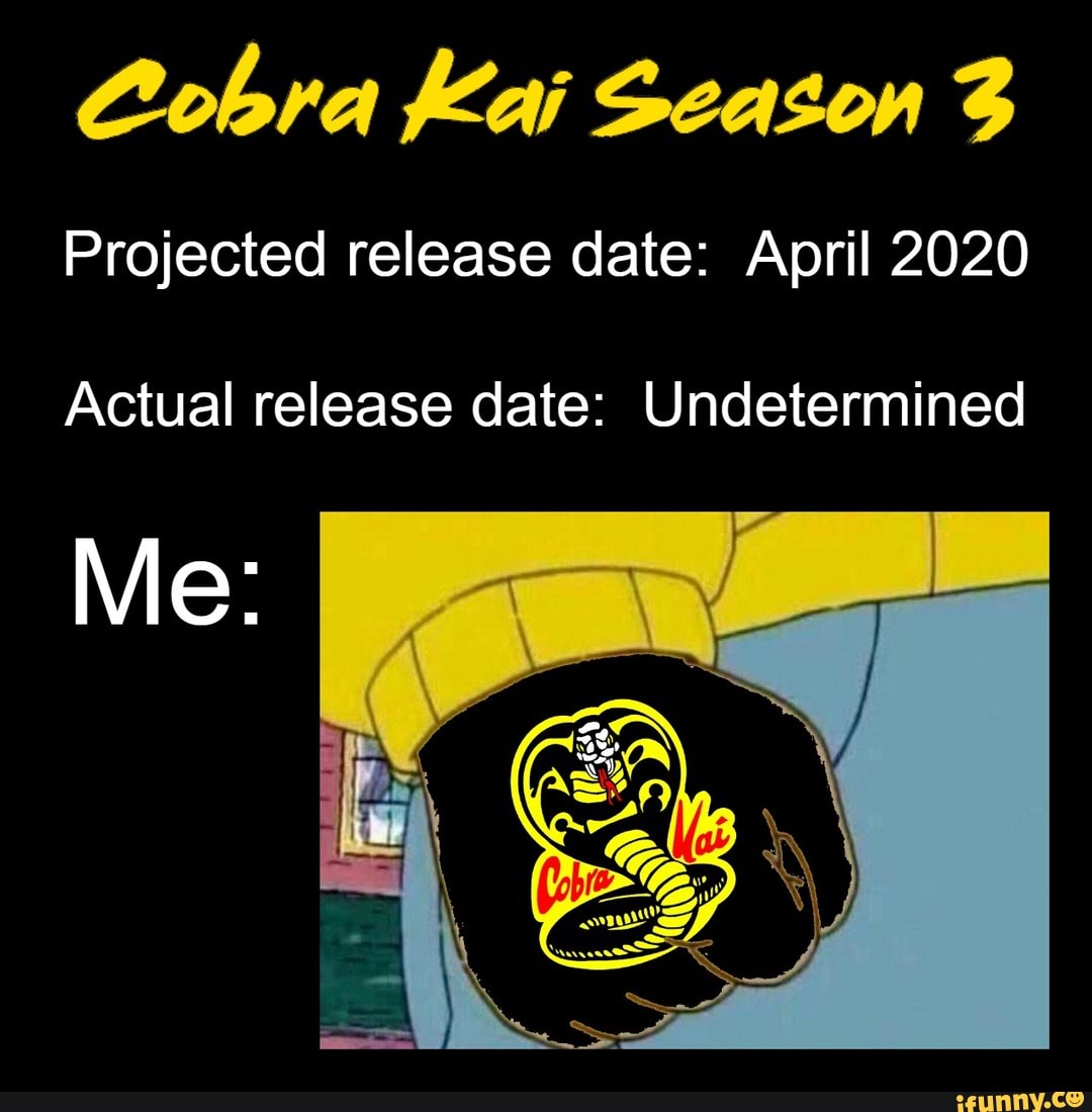 Cobra Kai Season 3 Projected Release Date April 2020 Actual Release Date Undetermined Ifunny 9366