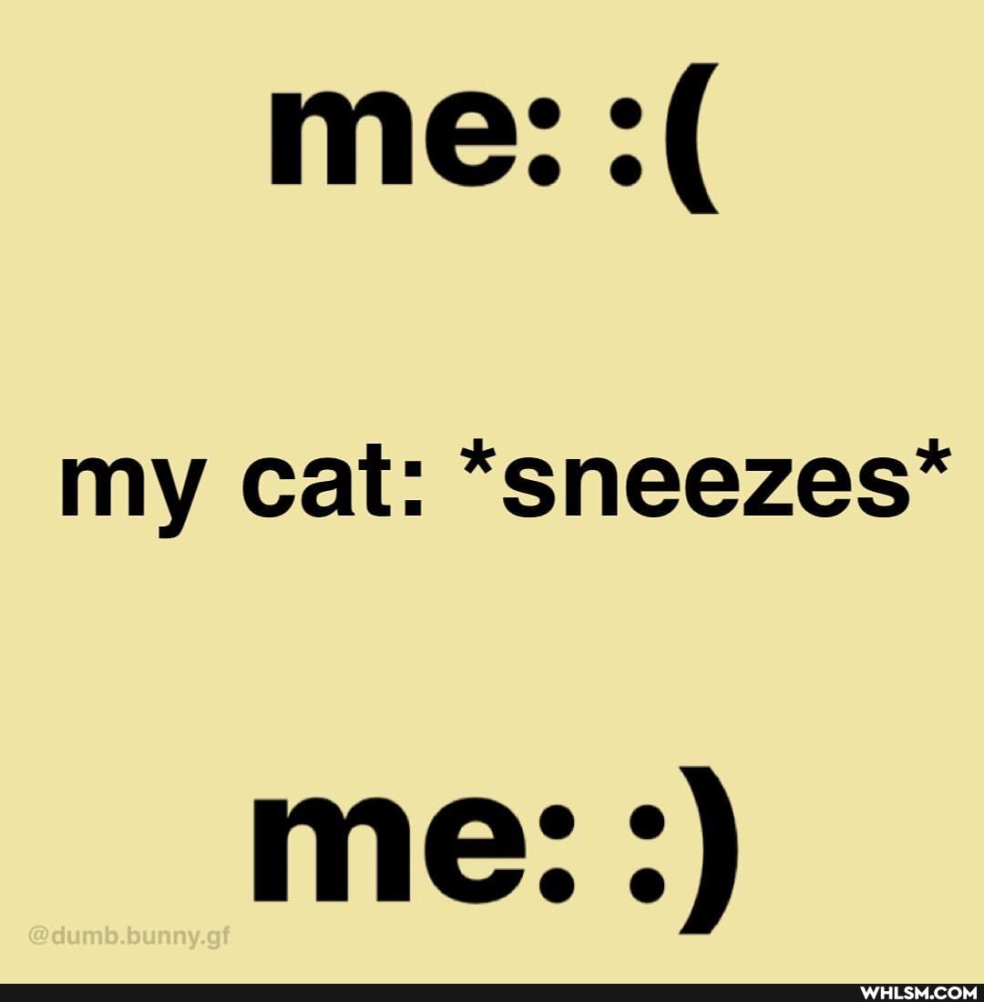 me: my cat: *sneezes*
me: