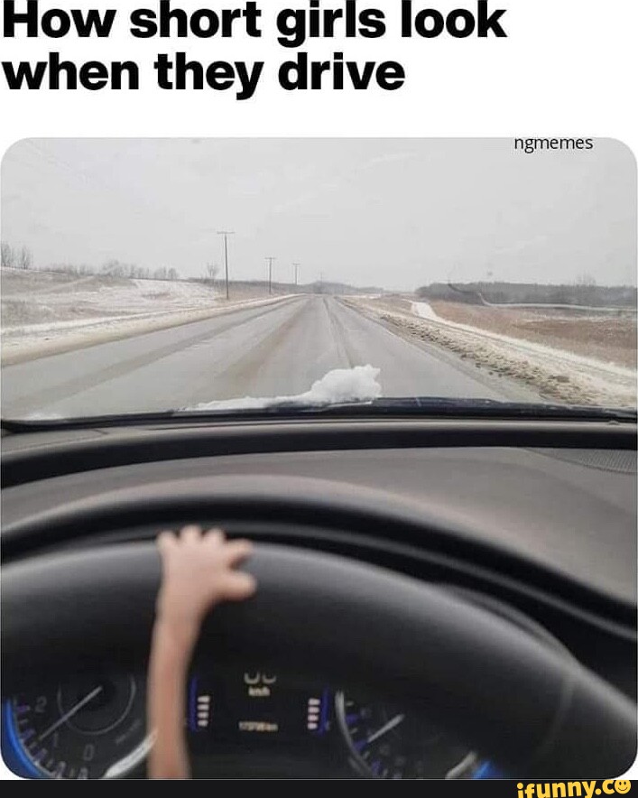 How short girls look when they drive ngmemes - iFunny