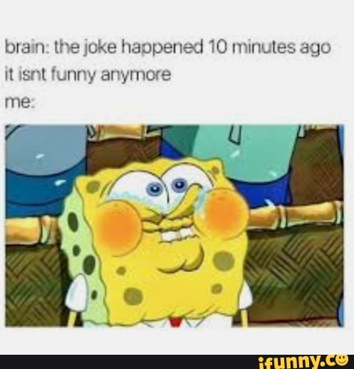 brain: the joke happened 10 minutes ago it isnt funny anymore me