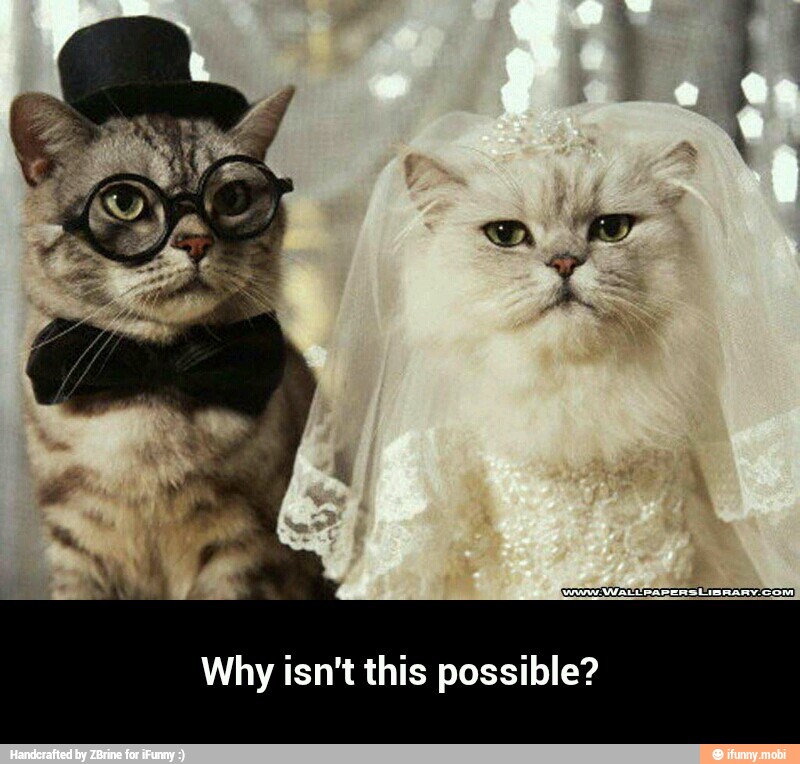 Why isn't this possible? - Why isn't this possible?