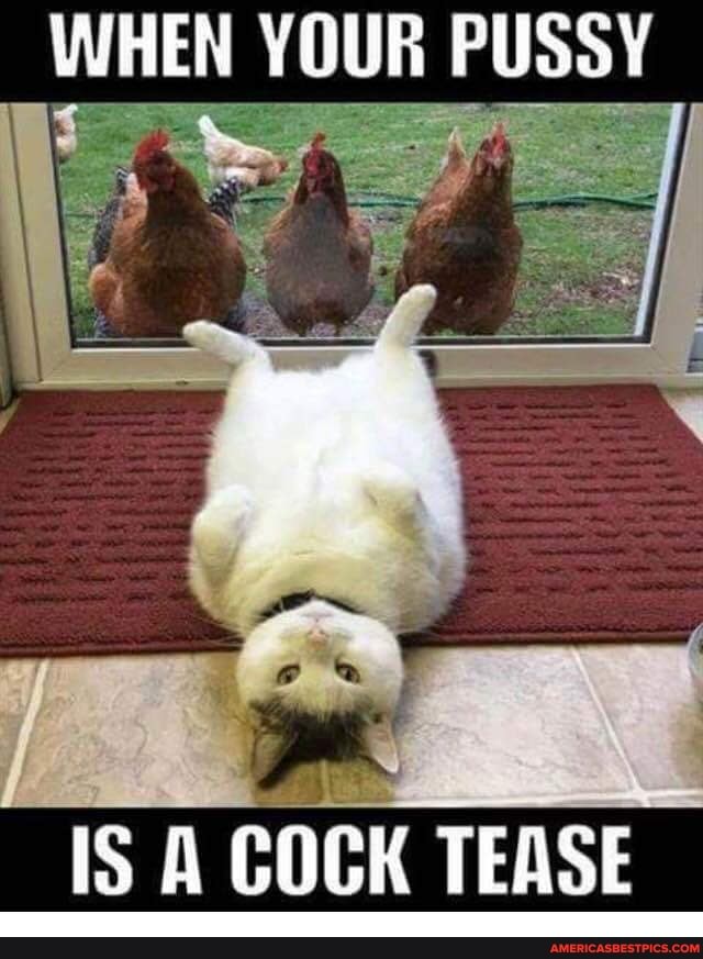 WHEN YOUR PUSSY
IS A COCK TEASE