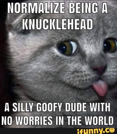 Normalize Being A Knucklehead A Silly Goofy Dude With No Worries In The 