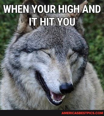 WHEN YOUR HIGH AND IT HIT YOU