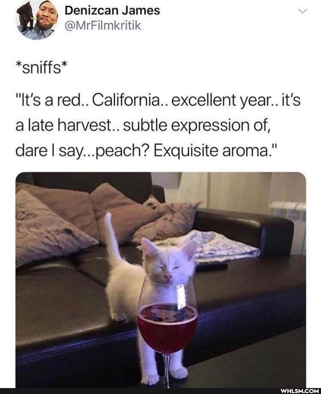 Denizcan James
@MrFilmkritik
*sniffs*
"It's a red.. California.. excellent year.. it's a late harvest.. subtle expression of, dare I say...oeach? Exquisite aroma."