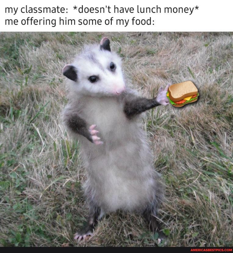 my classmate: *doesn't have lunch money* me offering him some of my food:
WA