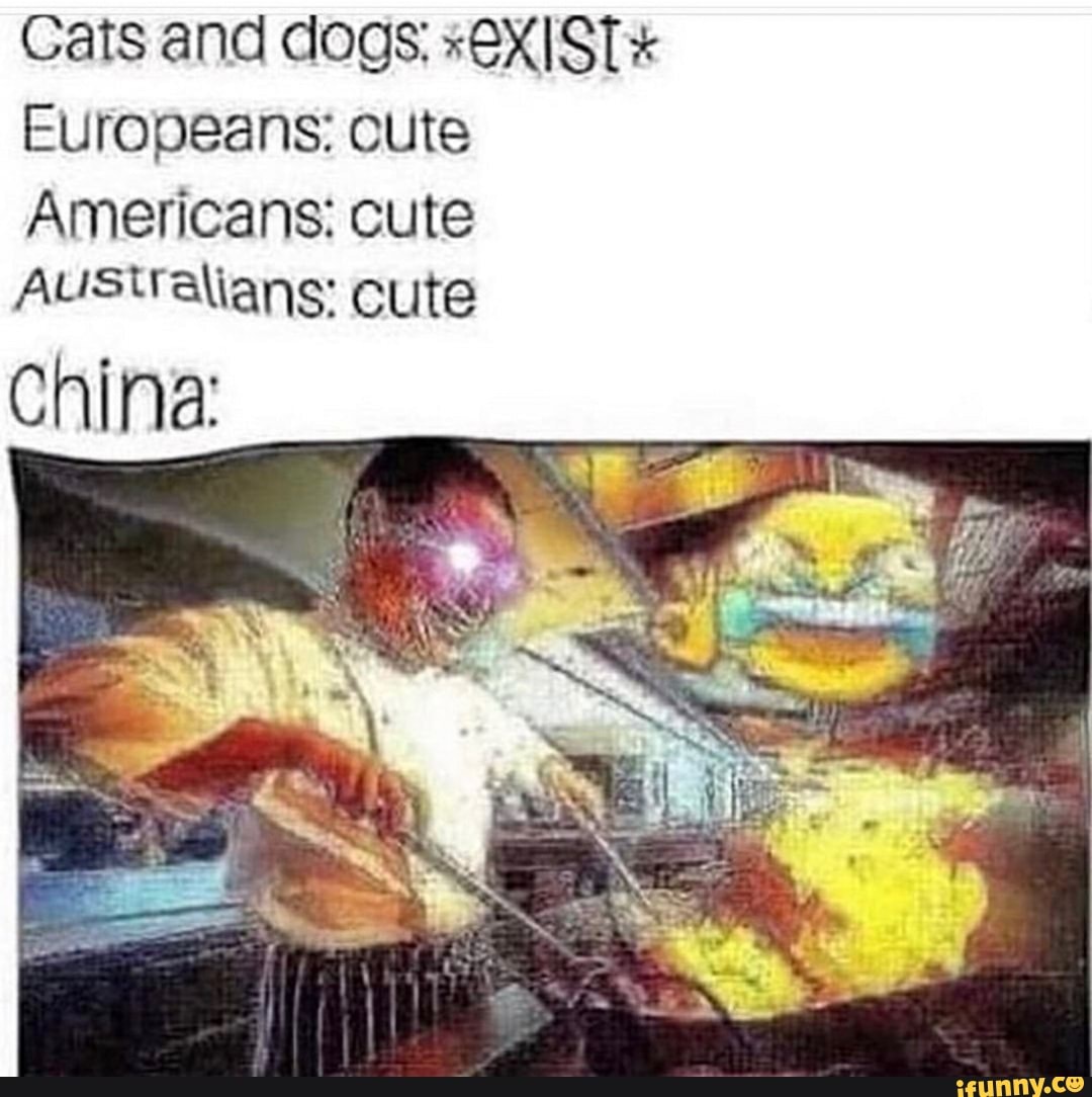 Cats and dogs: "@XIST*
Europeans: cute
Americans: cute
Australians: cute
China: