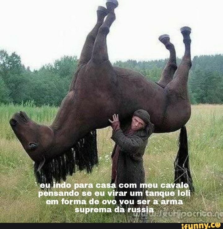 eu indo para casa com meu cavalo pensando se eu virar um tanque loli em forma de ovo vou ser a arma suprema da russia