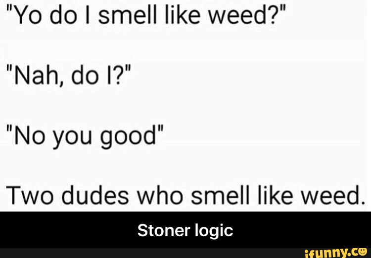 You smell like Love перевод. Smell like Cherry чезауродынасцене текст. My Weed smell like Death кот в сапогах. Smell like Cherry чезауродынасцене перевод.