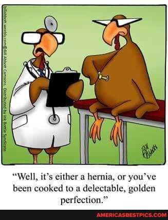 "Well, it's either a hernia, or you've
been cooked to a del le, golden