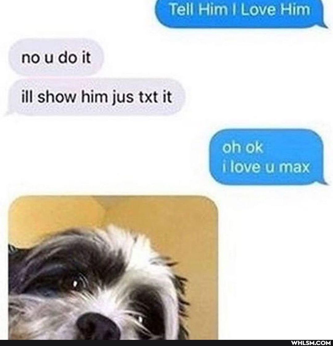 Tell Him I Love Him
no u do it
ill show him jus txt it
oh ok
love max