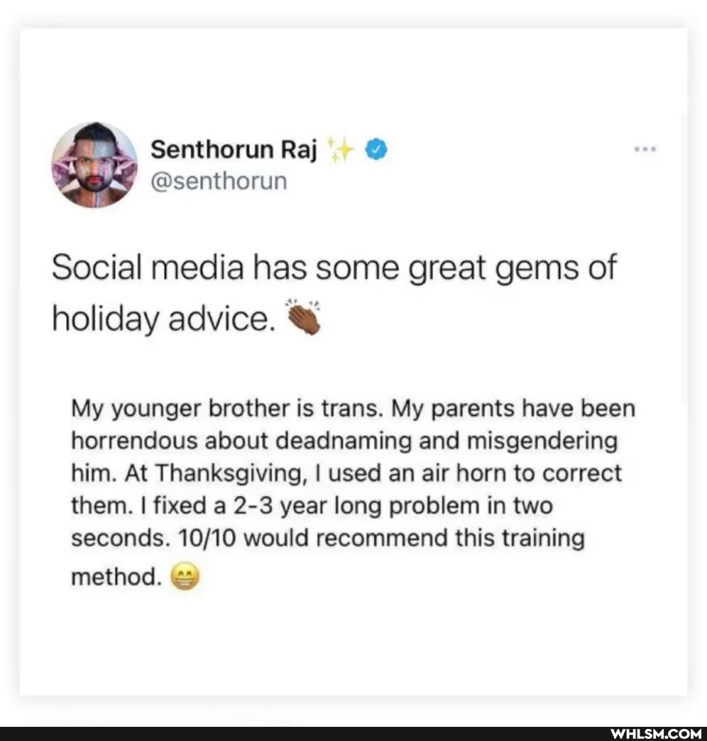 Social media has some great gems of holiday advice.
My younger brother is trans. My parents have been horrendous about deadnaming and misgendering him. At Thanksgiving, I used an air horn to correct them. fixed a 2-3 year long problem in two seconds. would recommend this training
method.