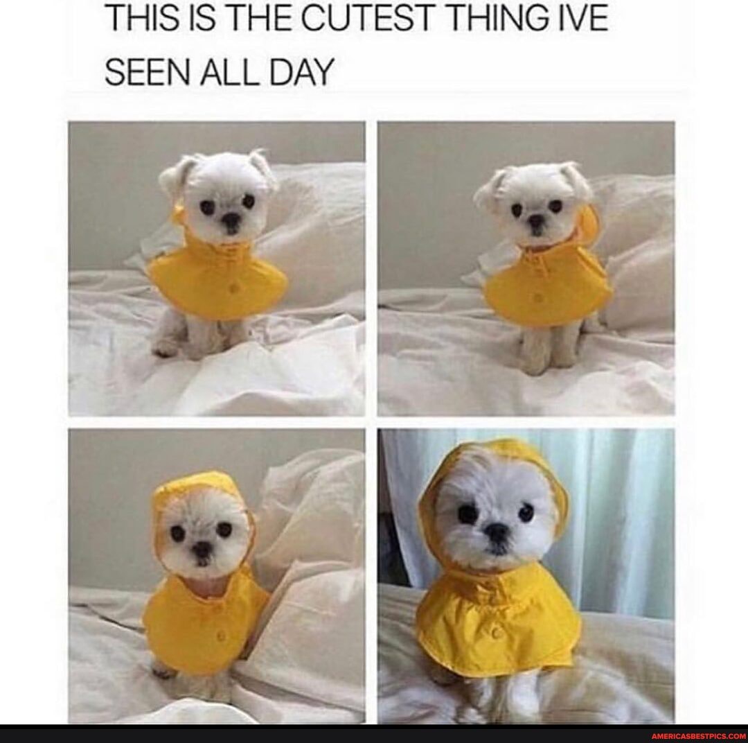 THIS IS THE CUTEST THING IVE SEEN ALL DAY
