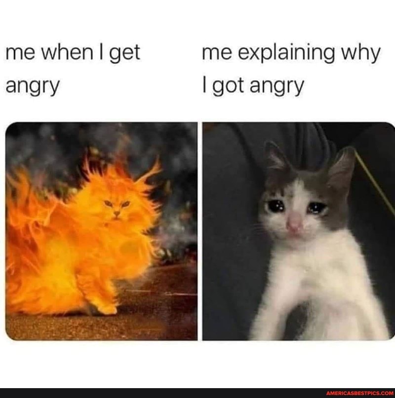 me when I get angry
me explaining why got angry